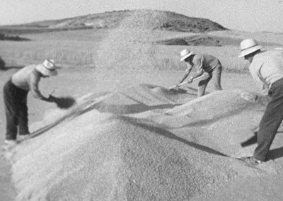 El campo para el hombre