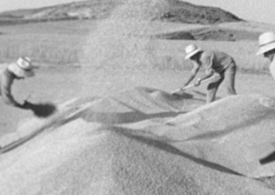 El campo para el hombre